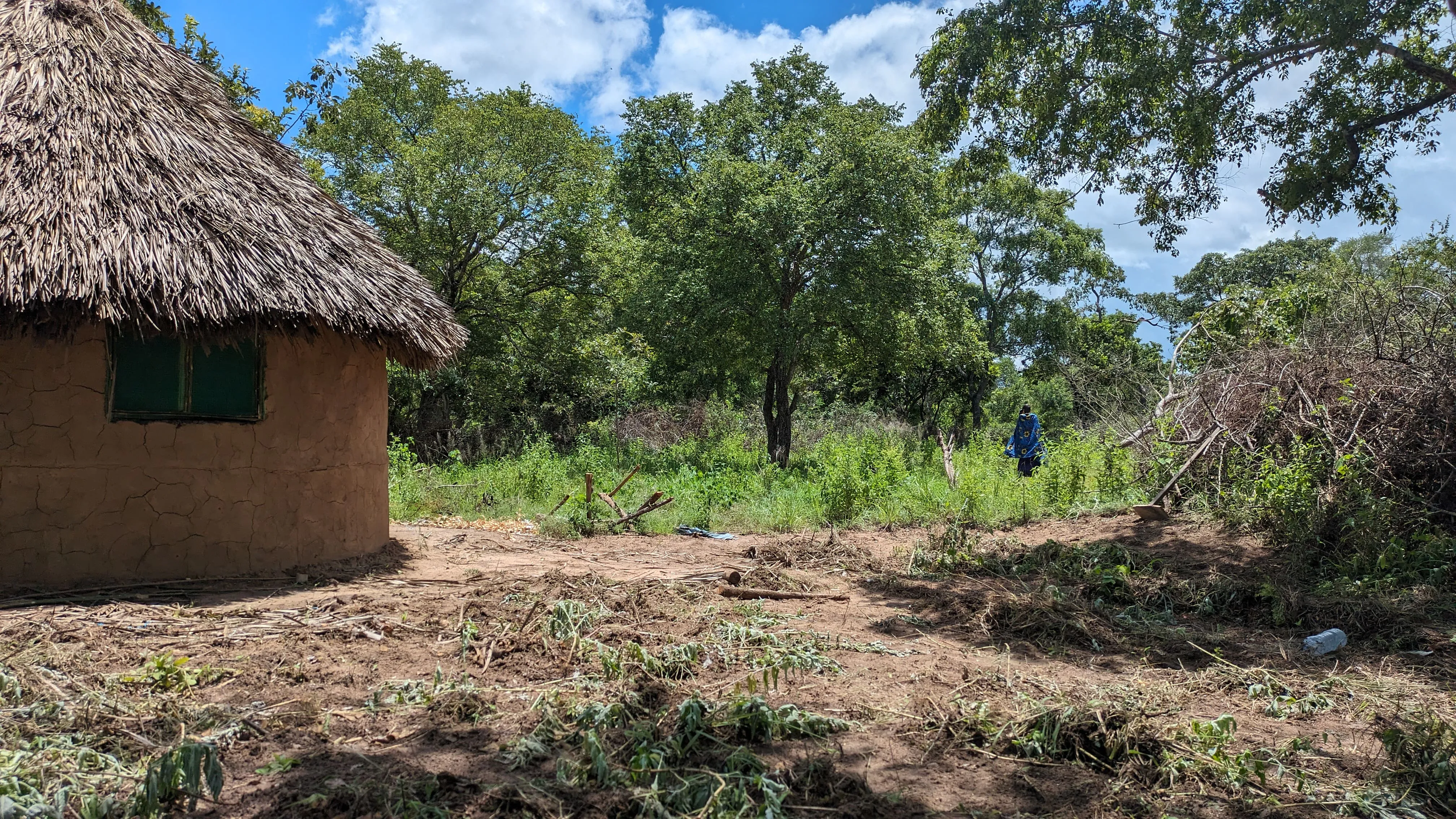 Een vrouw van de Maasai-gemeenschap werkt aan een Boma-project