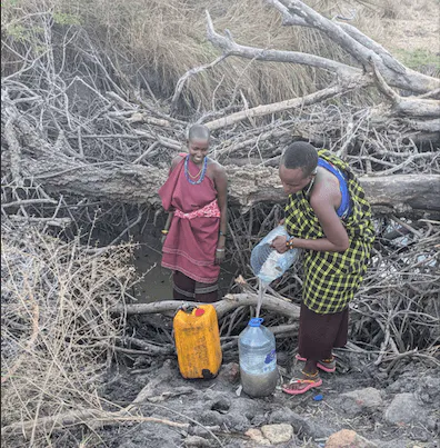 Maasai vrouw werkt op lokale landbouwgrond in Tanzania